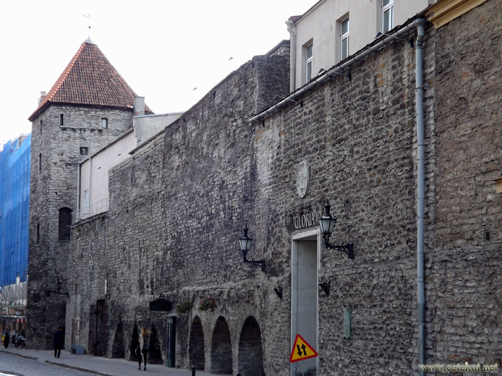 Таллин: крепостная стена.