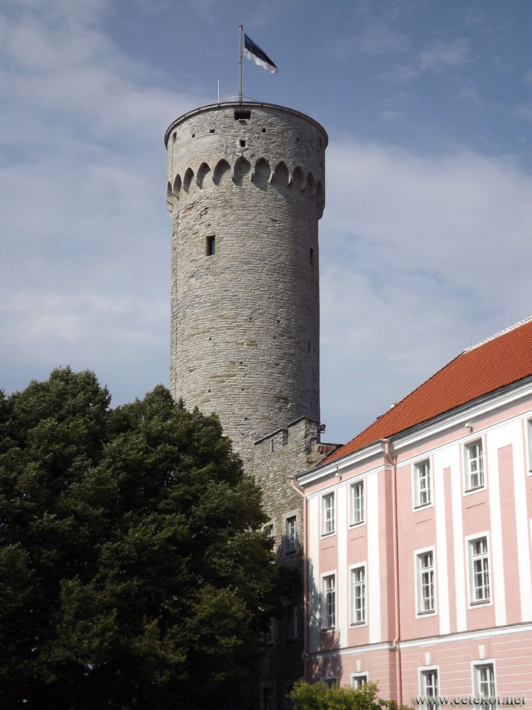 Таллин: башня Длинный Герман.