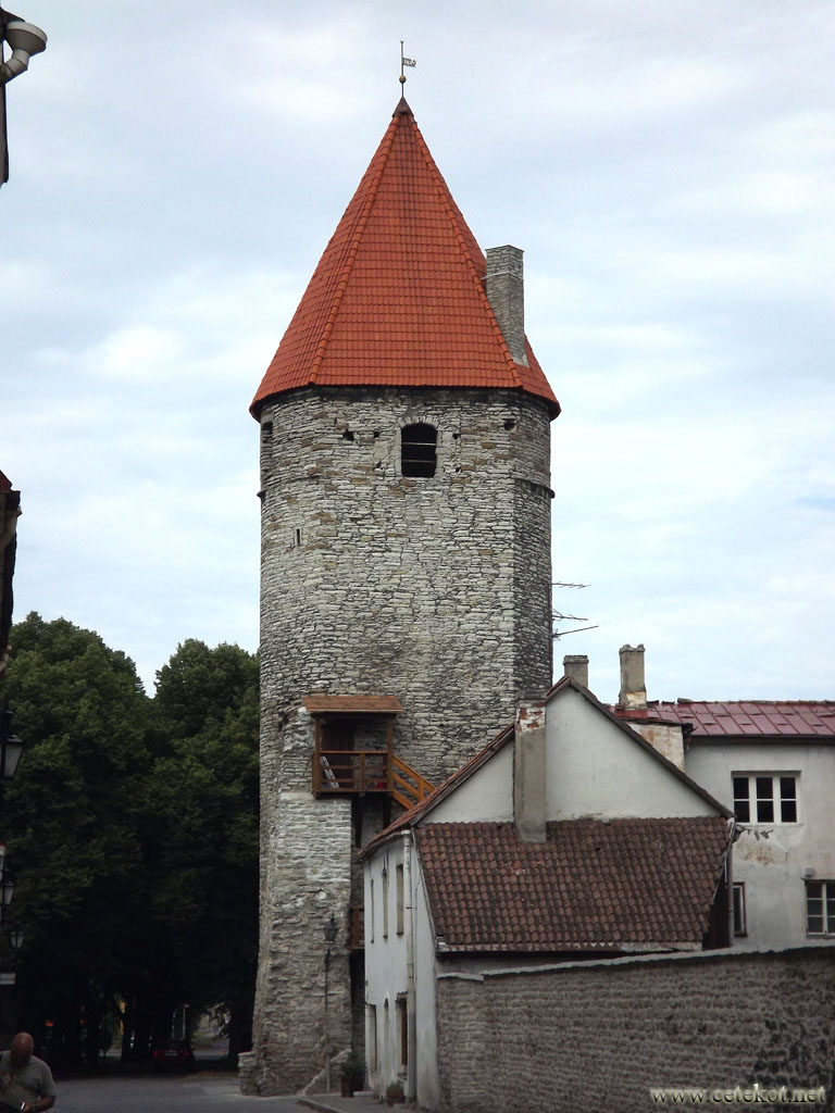 Таллин: башня Нунна.
