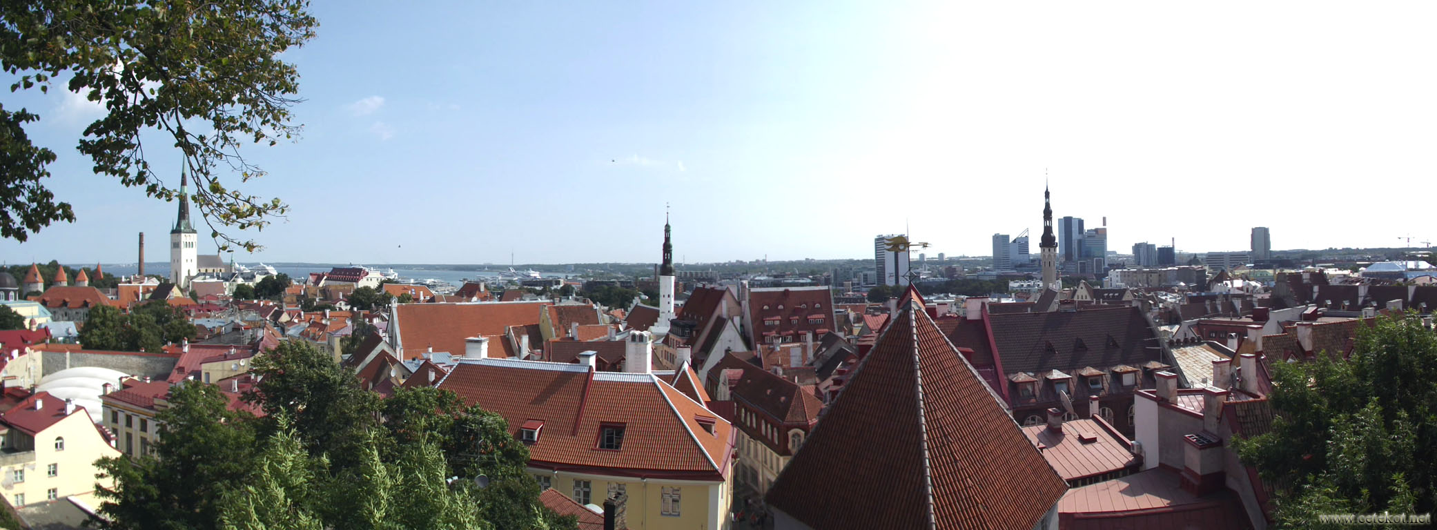 Таллин: панорама города.