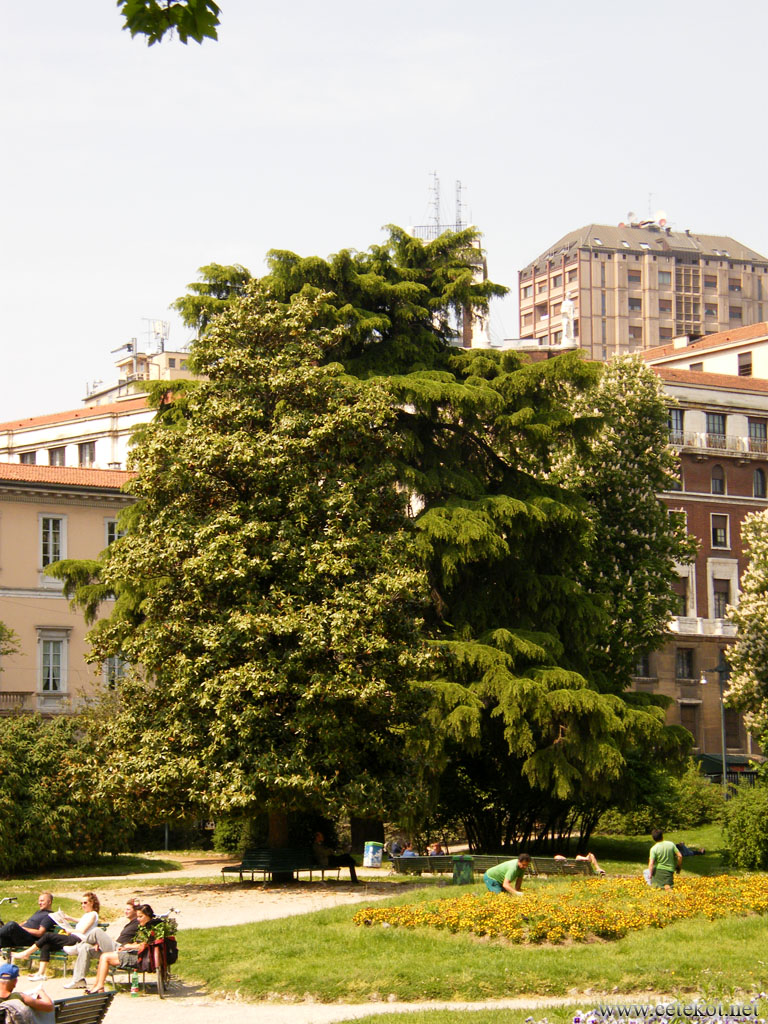 Милан: в парке Giardini Pubblici Indro Montanelli.