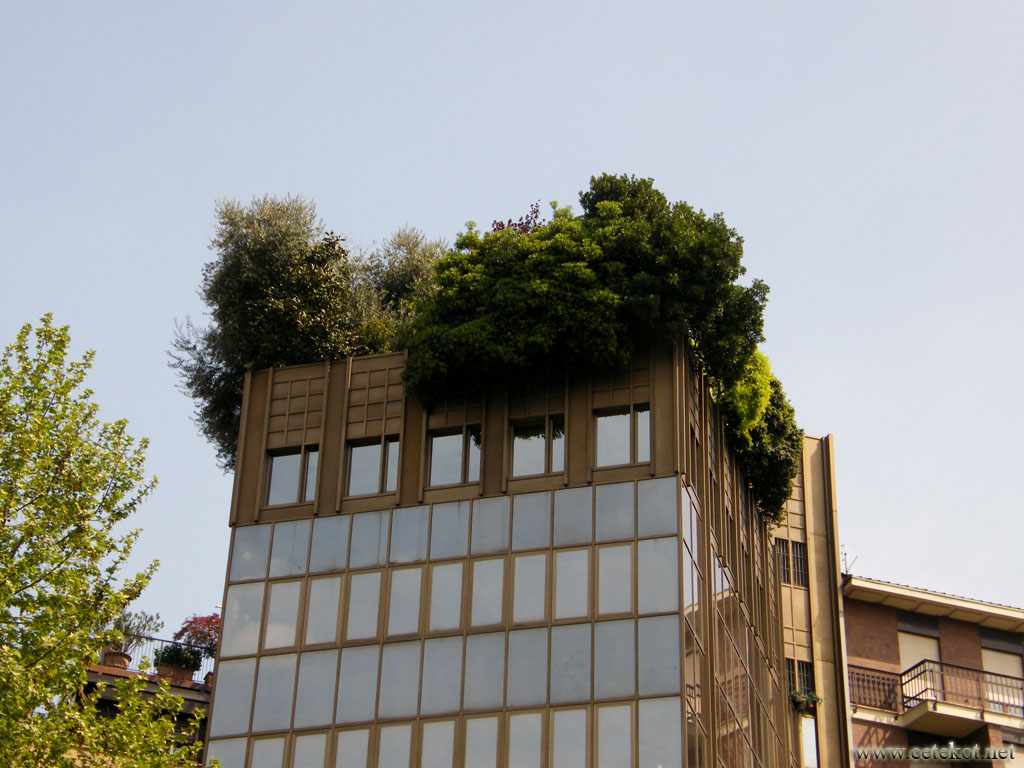Милан: сад на крыше.