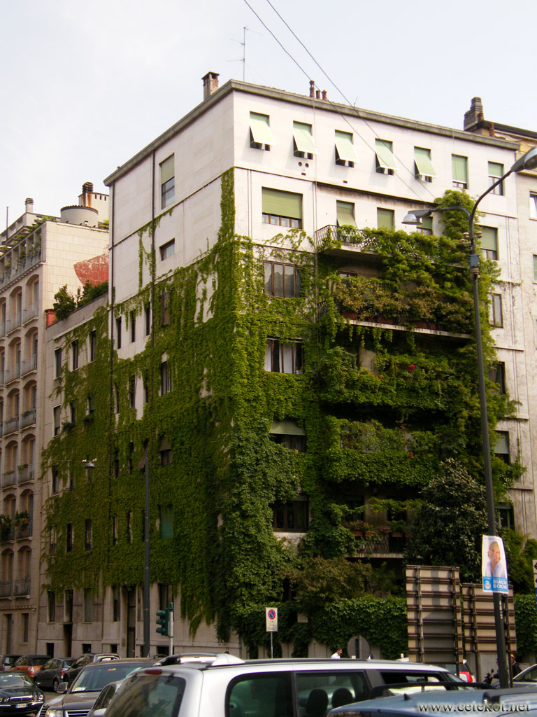 Милан: зелёная стена.