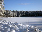 Латвия: зимнее лесное озеро.