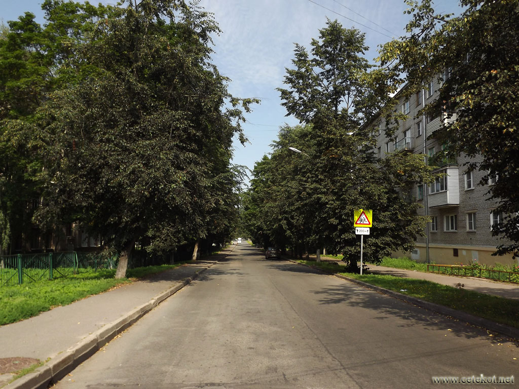 Новгород: просто зелёная улица.